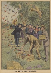 Vogelfest in Belgien