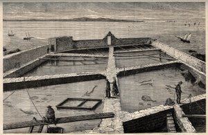 Fischzucht in Concarneau - Bretagne - Fischzuchtanlage - Concarneau - Finistère - Bretagne - Gravur in „PATRIE - DESCRIPTION PICTURESQUE DE LA FRANCE EN 6 VOLUMES“ von Lucien Huard - Ende des 19. Jahrhunderts
