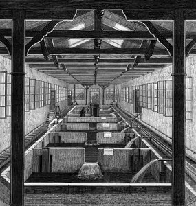 Fischzucht: die bewirtschafteten Teiche von Brut in Huningue, Haut Rhin (68) von French School