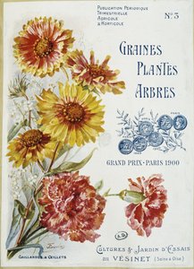 Gaillardes und Nelken - Titelblatt der Zeitschrift „Samen Pflanzen Bäume“, Nr. 3