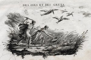 Gänse und Kraniche - Fabel von Äsop (Griechischer Schriftsteller Äsop, 6. Jahrhundert v. Chr.) Geschrieben von Guillaume Montfort und graviert von Beauble im Jahr 1801. von French School
