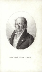 Geoffroy Saint-Hilaire von French School