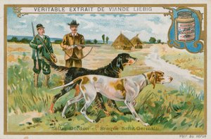 Gordon Setter und Braque St. Germain