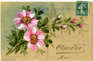 Grüße mit Blumenpflanze. Postkarte Anfang des 20. Jahrhunderts.
