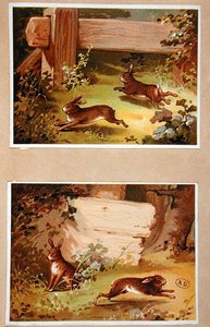 Hasen und Kaninchen, ca. 1890