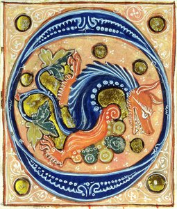 Historisierte Initiale O, die einen Greif zeigt
