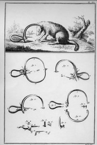 Jagd - Fuchs gefangen in der Falle - „Die Große Enzyklopädie, oder Wörterbuch der Wissenschaften, Künste und Berufe“ von Denis Diderot (1713-1784) und Jean d