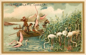 Flamingojagd, Spanien