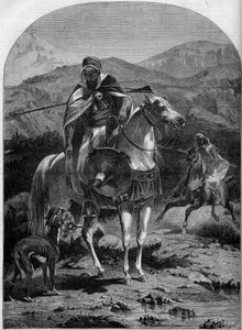 Hasenjagd in Algerien