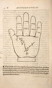 Illustration aus Chiromantia von Joannes Indagioe, Straßburg, 1531