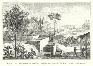 Indigoproduktion im Senegal, nach einem Stich von Seb. Leclerc, 17. Jahrhundert (Gravur) von French School