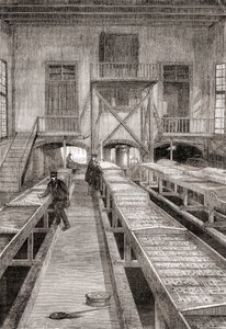 Innenansicht einer Fischfarm des 19. Jahrhunderts in Huningue, Frankreich, aus Les Merveilles de la Science, veröffentlicht um 1870 (Gravur) von French School