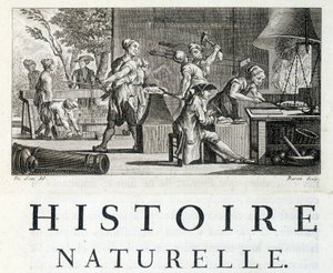 Innenansicht einer Schmiede - in „Naturgeschichte, allgemein und besonders“ von Buffon