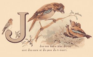 J: Junge Eichelhäher sind hübsche Spieler und fröhlich! von French School