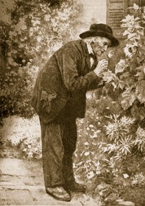 Jean-Henri Fabre beobachtet Insekten von French School