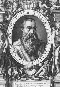 Julius Caesar Scaliger (Stich)