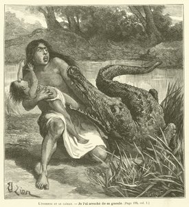 Die Indianerin und der Kaiman (Stich)