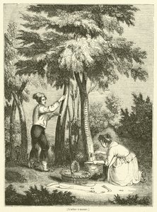 Der Manna-Baum (Gravur) von French School