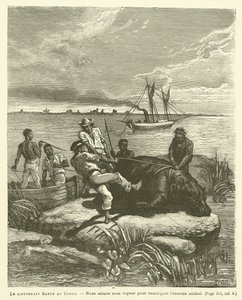 Leutnant Harou im Kongo (Stich) von French School