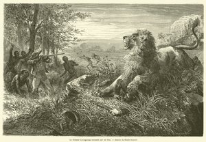 Dr. Livingstone von einem Löwen niedergestreckt von French School