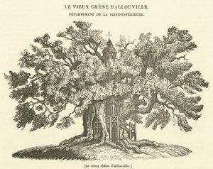 Die alte Eiche von Allouville von French School