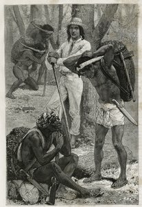 Die Träger (Caucheros) in Darien (Region im Osten Panamas), Gravur nach einer Zeichnung von D. Maillart zur Illustration der Geschichte „Exploration am Isthmus von Panama und Darien“ von A. Reclus, Schiffslieutenant, von 1876 bis 1878, veröffentlicht in Le