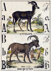 Buchstabe A Antilope; B Steinbock. Gravur in "Alphabet der wilden Tiere". 9. Serie. Bildersammlung von Epinal, Pellerin, Drucker-Verleger, um 1870 von French School