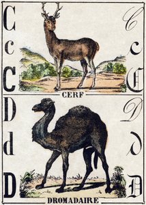 Buchstabe C Hirsch; D Dromedar. Gravur in "Alphabet des animaux sauvages". 9. Serie. Bildersammlung von Epinal, Pellerin, Drucker-Verleger, um 1870. Holzschnitte, schabloniert. 16 Seiten. Dim: 20 x 15 cm. Private Sammlung