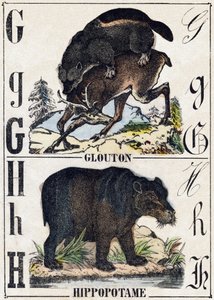 Buchstabe G Vielfraß; H Nilpferd. Gravur in "Alphabet der wilden Tiere". 9. Serie. Bildersammlung von Epinal, Pellerin, Drucker-Verleger, um 1870