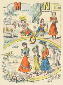 M N O: Schaf, Notwendig, Vogel