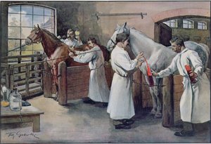 Herstellung von Diphtherie-Serum aus Pferdeblut, aus Les Animaux, ca. 1900