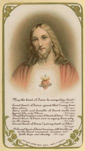Möge das Herz Jesu überall geliebt werden!