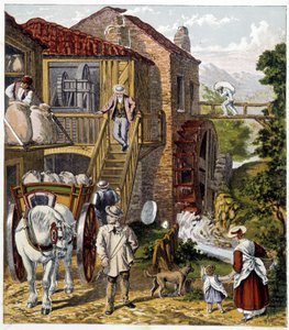 Meunier - in „Magazine des petits enfants: les Métiers“, ed. Hachette, um 1900 von French School