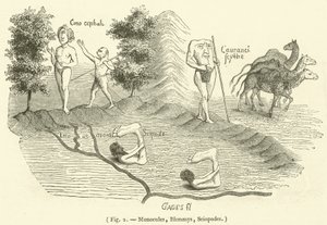 Monokel, Blemmys, Sciopoden (Gravur)