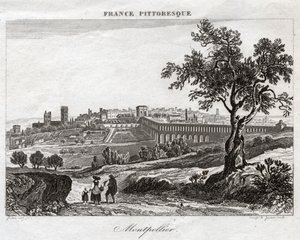 Montpellier von French School