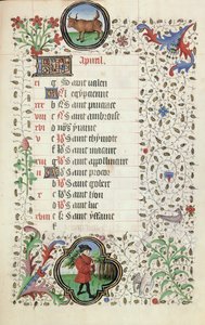 April: Stier und ein Mann, der einen Ast trägt, aus einem Stundenbuch, frühes 15. Jahrhundert