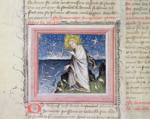 Ms 313 Schöpfung der Tiere, aus der Bible des Grands Augustins von French School