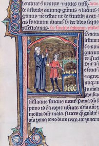 Ms 426 fol.135 Lehre der besten Methode zur Konservierung von Birnen, aus Le Miroir de la Nature von Vincent de Beauvais von French School