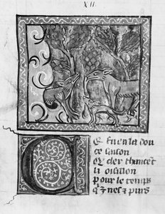Der Fuchs, der Wolf und der Hund, aus Le Roman de Renart