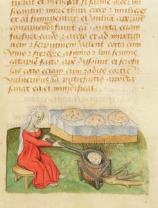 Ms. Tractatus de Herbis von Dioscorides, fol.142r Brötchen backen
