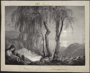 Napoleon Bonaparte besucht sein Grab auf St. Helena von French School