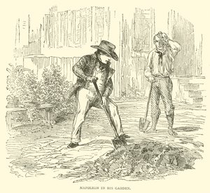 Napoleon in seinem Garten (Gravur) von French School
