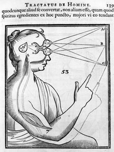 Ophthalmologie: Das Auge und das Sehen