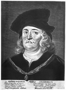 Paracelsus (1493-1541) von French School