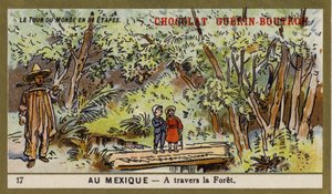 Durch einen Wald, Mexiko (Chromolithografie)