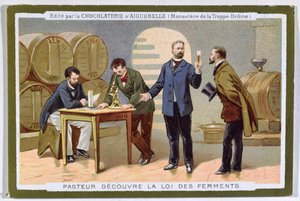 Pasteur entdeckt die Fermentation, Werbekarte für die Chocolaterie d