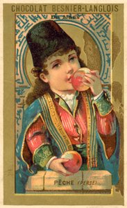 Pfirsiche aus Persien von French School