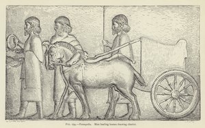Persepolis, Männer führen Pferde, die einen Wagen ziehen