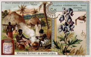 Giftpflanzen: Eisenhut und Afrikaner bereiten Gift für ihre Pfeile vor - Chromo. Liébig, späte 19. Jahrhundert