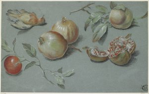 Granatäpfel und toter Vogel, frühes 19. Jahrhundert